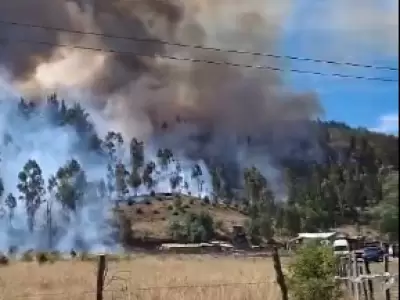 Captura de pantalla