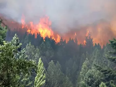 Nahuel Huapi: incendios fuera de control y una advertencia dram�tica