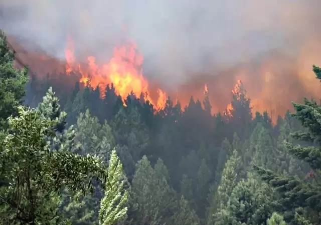 Nahuel Huapi: incendios fuera de control y una advertencia dram�tica