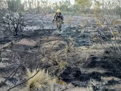 Los bomberos debieron controlar las llamas que afectaron una amplia zona. (Foto: web)