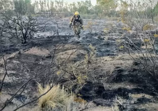Los bomberos debieron controlar las llamas que afectaron una amplia zona. (Foto: web)