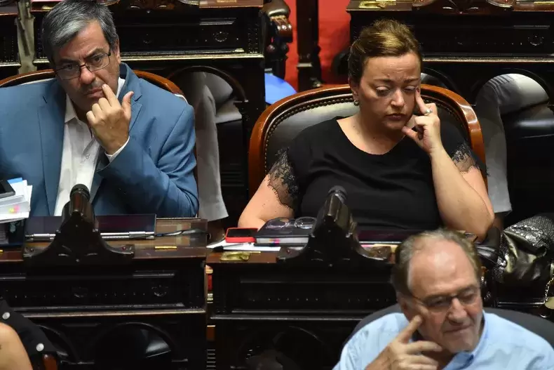 Union por la Patria, oposici�n dura