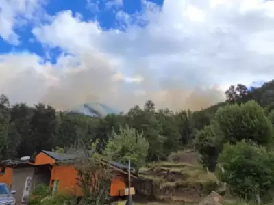 En Cascada de los Alerces los pobladores est�n preocupados por la cercan�a de los incendios a sus hogares.