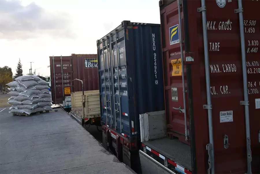 Las exportaciones de Mendoza pueden expandirse hacia nuevos rubros y desafíos.