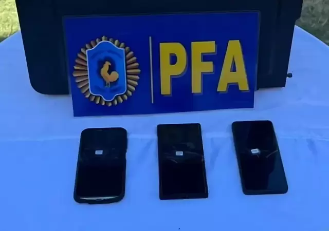 Celulares secuestrados por la PFA en Pilar.