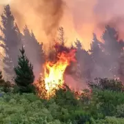 "�Salgan!": el estremecedor relato de un bombero en la Patagonia en llamas