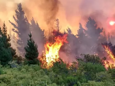 El fuego persiste en Chubut.