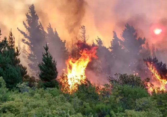 El fuego persiste en Chubut.