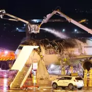 Corea del Sur: un avi�n se prendi� fuego antes de despegar con 176 pasajeros