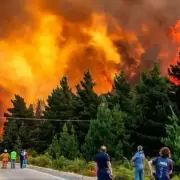 Pedir�n el endurecimiento de penas para los causantes de incendios intencionales