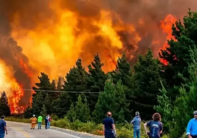 Incendios en la Patagonia