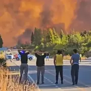 Cinco grandes incendios ponen en jaque a tres provincias patag�nicas