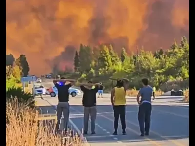 Incendios de El Bols�n.