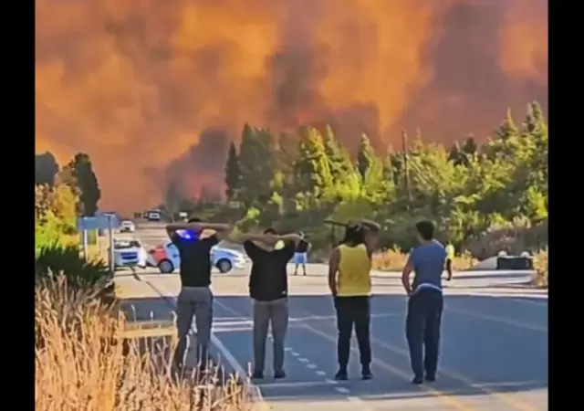 Incendios de El Bols�n.