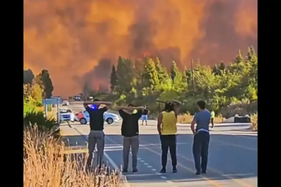 Incendios de El Bols�n.
