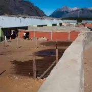 Escalofriantes detalles del sufrimiento de una perra que buscaban en Bariloche
