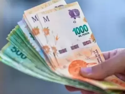 El organismo public� los valores generales.