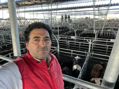 Sergio Pedace, vicepresidente de la C�mara Argentina de Matarifes y Abastecedores. (Foto: web)
