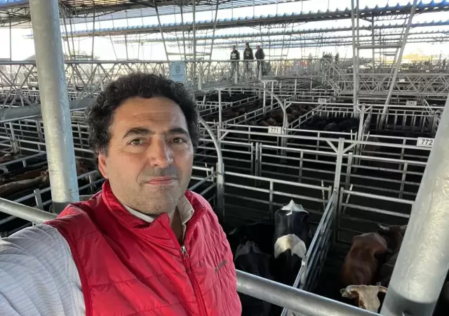 Sergio Pedace, vicepresidente de la C�mara Argentina de Matarifes y Abastecedores. (Foto: web)