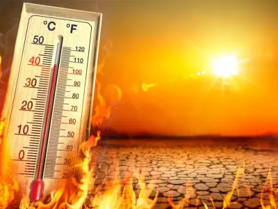 Calor extremo en Mendoza