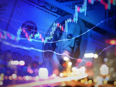 Las inversiones cayeron casi un 14 % interanual en 2024.