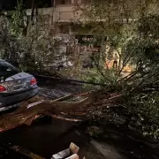 Caos en La Feliz: tormenta caus� destrozos y puso a la ciudad en estado de alerta