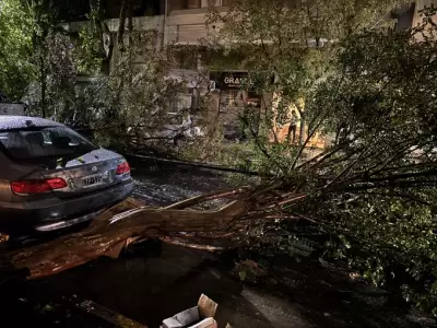 �rboles ca�dos, autos da�ados y cortes de luz fueron las consecuencias de la tormenta.