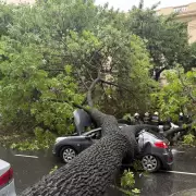 Tormenta en Buenos Aires: un �rbol cay� sobre seis autos y dej� cuatro heridos