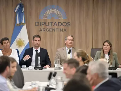 Diputados. Plenario Ficha Limpia