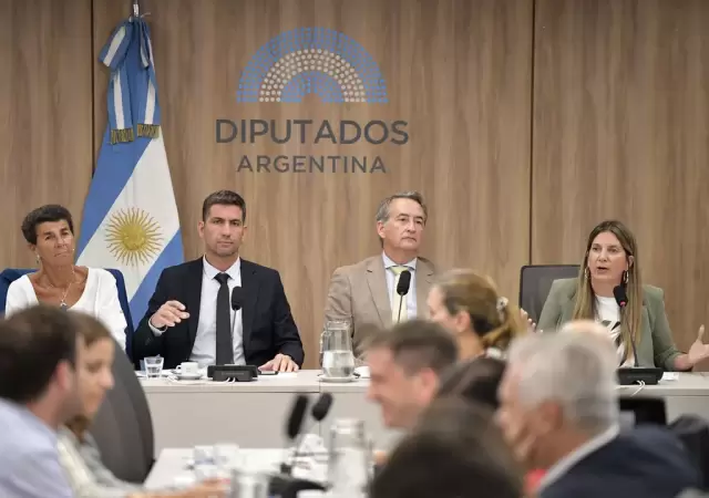 Diputados. Plenario Ficha Limpia