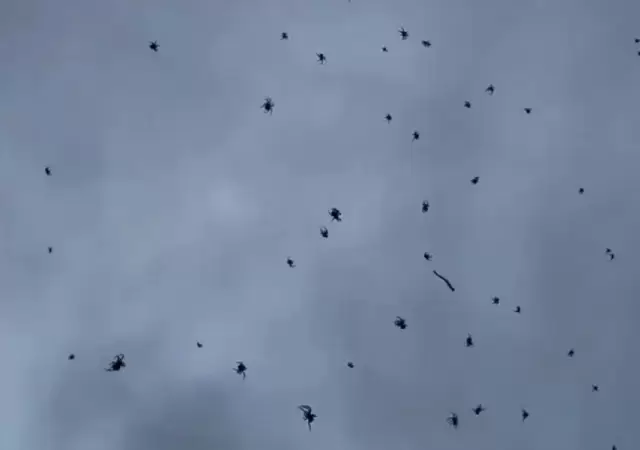 Lluvia de ara�as