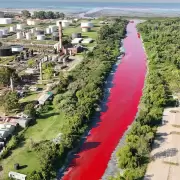 Avellaneda: un arroyo amaneció completamente teñido de rojo