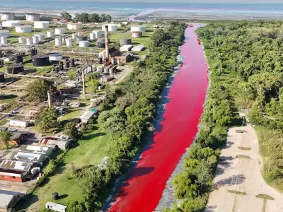 De terror: la l�nea roja se pierde en el R�o de la Plata.