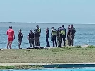 Los peritos analizan diversas hip�tesis.