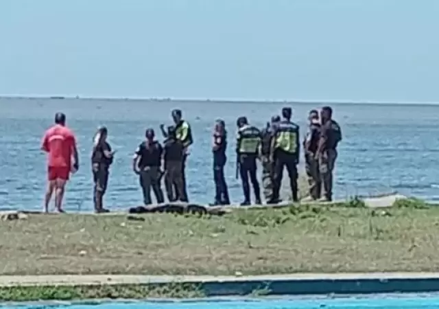 Los peritos analizan diversas hip�tesis.