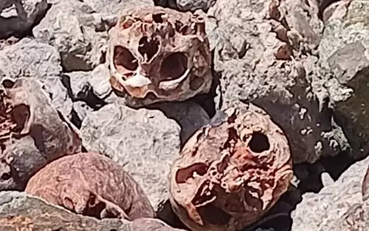 Unos 17 cráneos fueron encontrados por la Policía Bonaerense y confirmaron que se tratan de restos óseos humanos.