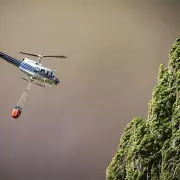 La ONG Greenpeace alert� por el cierre del Fondo Nacional de Manejo del Fuego