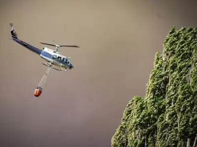 Incendios en Neuqu�n.