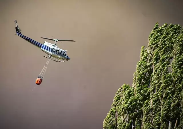 Incendios en Neuqu�n.
