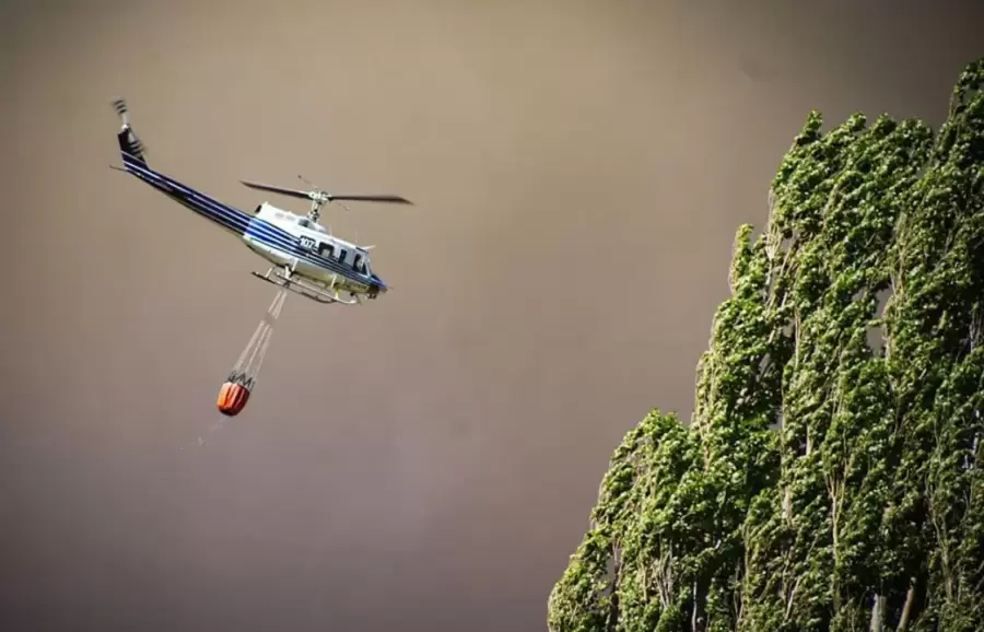 Incendios en Neuquén