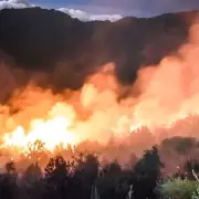 El grito desesperado del intendente: "Se est� quemando todo"