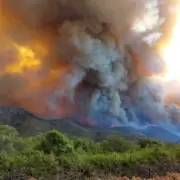 Infierno en El Bols�n: el fuego avanza sin control hacia la ciudad