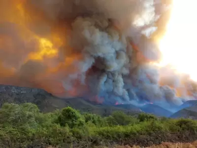 Infierno en El Bols�n: el fuego avanza sin control hacia la ciudad
