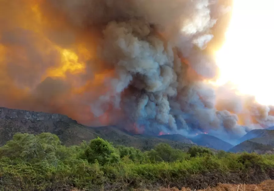 Incendios en El Bols�n