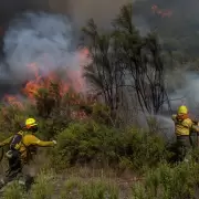 M�s de 130 brigadistas se suman a la lucha contra el fuego en Neuqu�n y R�o Negro