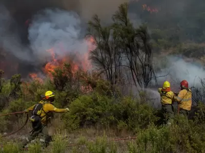Brigadistas combatiendo el fuego.