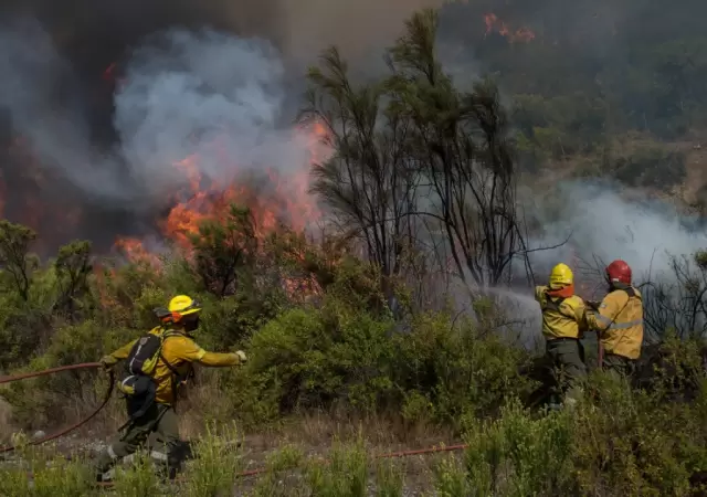 Brigadistas combatiendo el fuego.