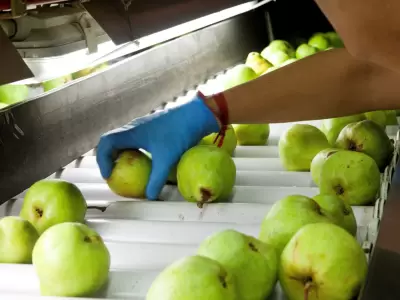 Nuevas regulaciones para la producci�n y venta de frutas en la Argentina