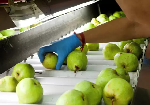 Nuevas regulaciones para la producci�n y venta de frutas en la Argentina