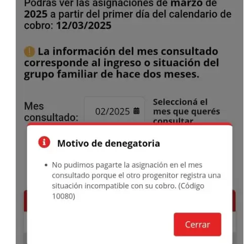 La notificación figura en la sección 'Mis Asignaciones' de Mi ANSES